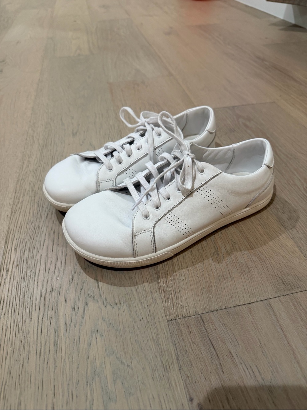 Xero shoes Dillon leather sneakers
